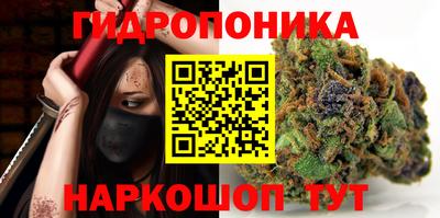 a pvp Конаково
