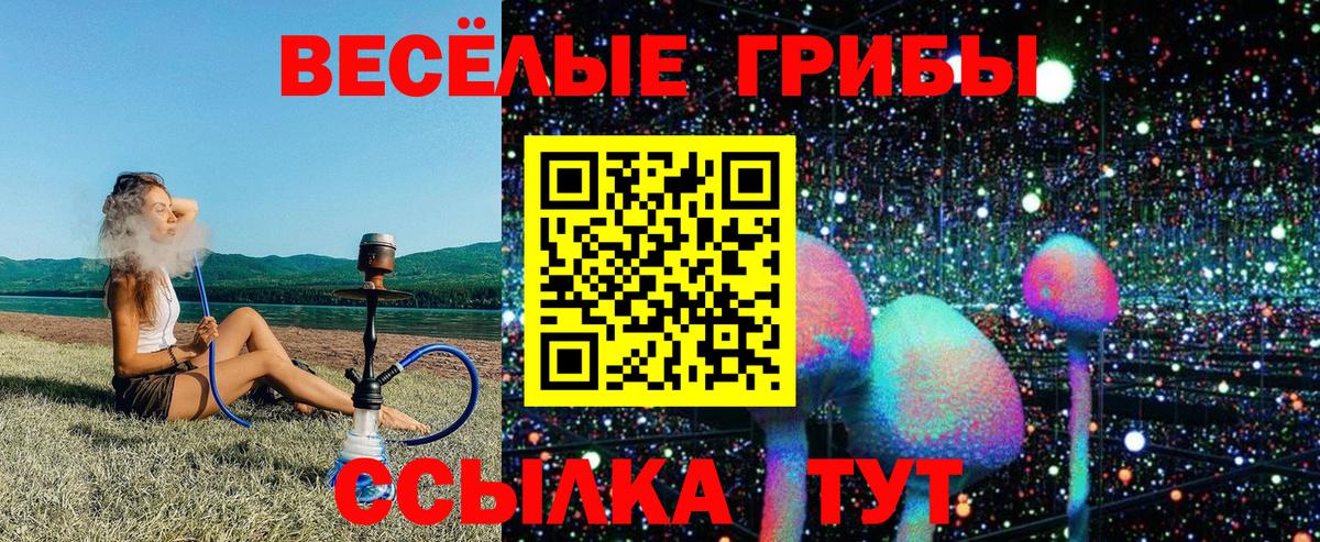 Галлюциногенные грибы Psilocybine cubensis Учалы