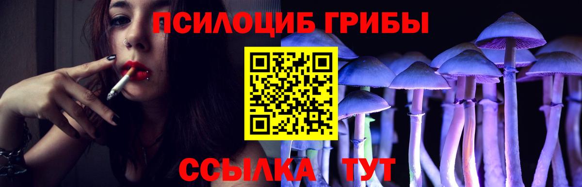 где можно купить   Псилоцибиновые грибы мицелий  Учалы  Вход с VPN  Псилоцибиновые грибы Magic Shrooms 